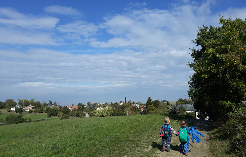 img home scuola pecorile06