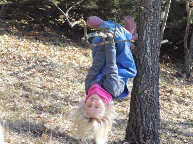 img home scuola pianoro24